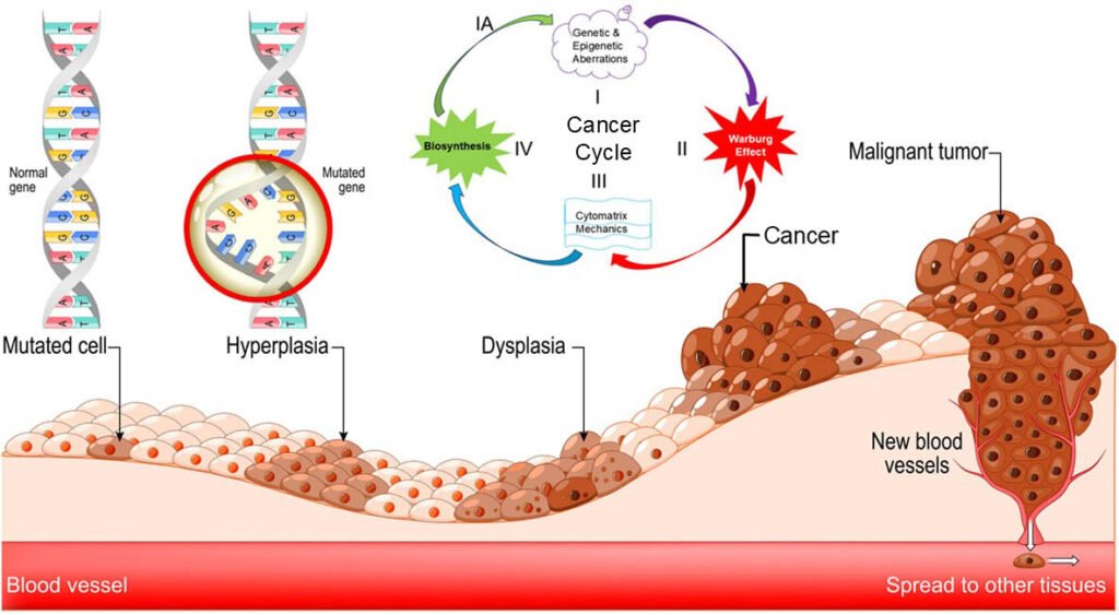 Cancer cycle