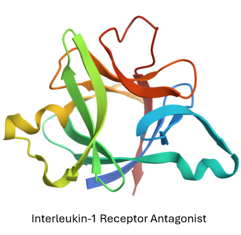Interleukin-1